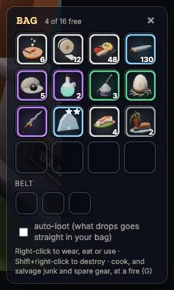 The bag